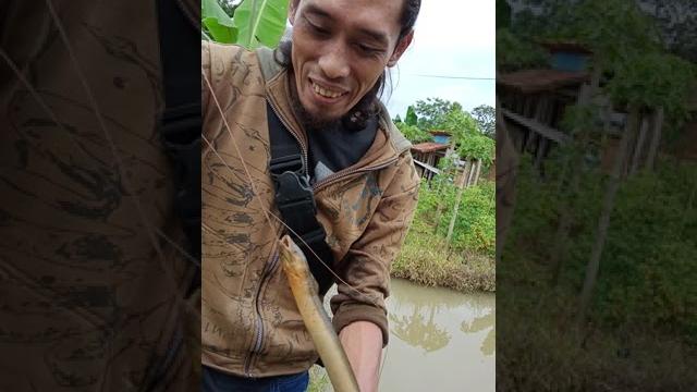 Ngurek belut abg montok Ngurek belut abg montok