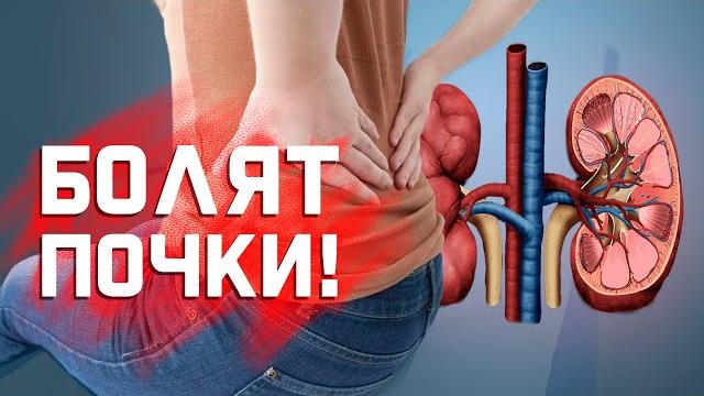 Когда поясница болит из-за почек? Когда поясница болит из-за почек?