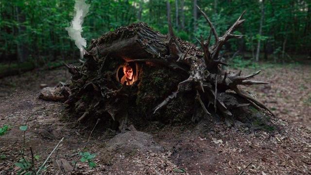 Building a cozy shelter from roots Building a cozy shelter from roots