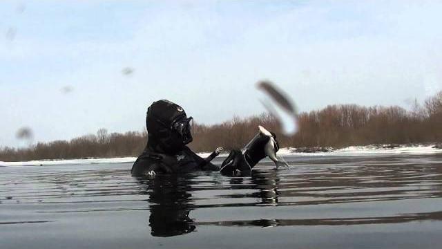Подводная охота на зимних лещей. шкиль игорь. Подводная охота на зимних лещей. шкиль игорь.