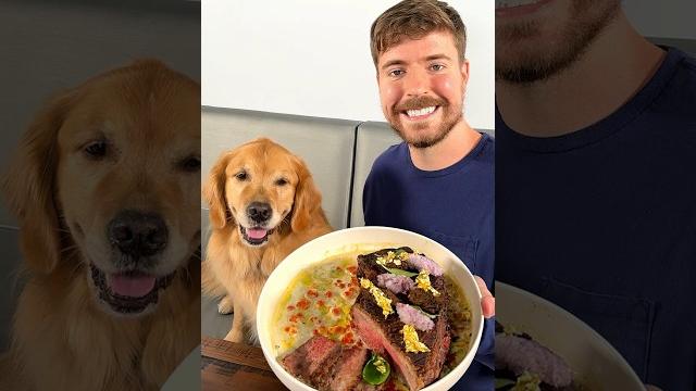 Feeding a dog $1 vs $10,000 steak Feeding a dog $1 vs $10,000 steak