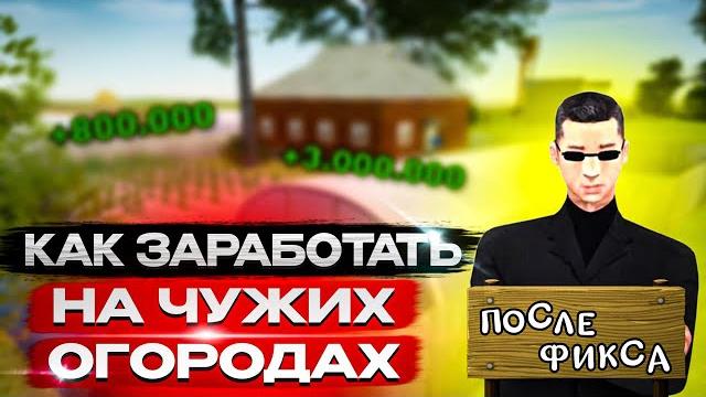 Как заработать на чужих огородах после фикса?! способ есть! топовый способ! radmir rp|hassle online Как заработать на чужих огородах после фикса?! способ есть! топовый способ! radmir rp|hassle online