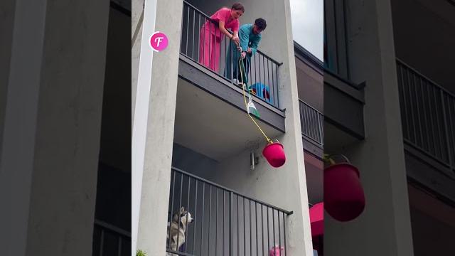 Ingenious dog rescue by kind neighbors #shorts Ingenious dog rescue by kind neighbors #shorts