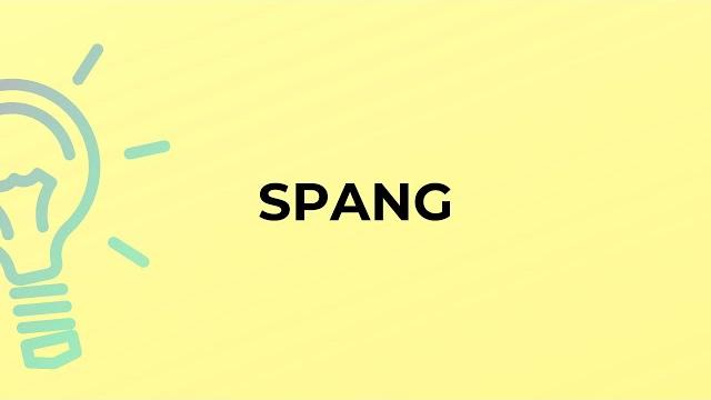 What is the meaning of the word spang? What is the meaning of the word spang?