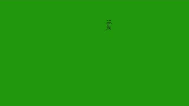 Green screen hd - rock debris chroma key Green screen hd - rock debris chroma key