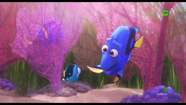 Buscando a dory | escena: 'baby dory' | disney · pixar oficial Buscando a dory | escena: 'baby dory' | disney · pixar oficial