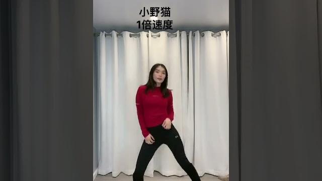 小野猫舞蹈教程 完整版 爵士舞跟练 爵士舞健身减肥 小野猫舞蹈教程 完整版 爵士舞跟练 爵士舞健身减肥