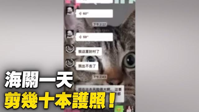 大連網友親身經歷,海關一天剪幾十本護照!通關時儘量找「正能量」的理由。| #大紀元新聞網 大連網友親身經歷,海關一天剪幾十本護照!通關時儘量找「正能量」的理由。| #大紀元新聞網