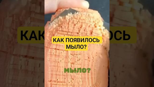 Как появилось мыло? Как появилось мыло?