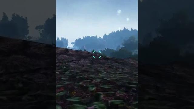 Rocks can be helpful! Rocks can be helpful!