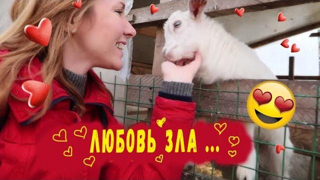 Влюбилась в козлика) Влюбилась в козлика)