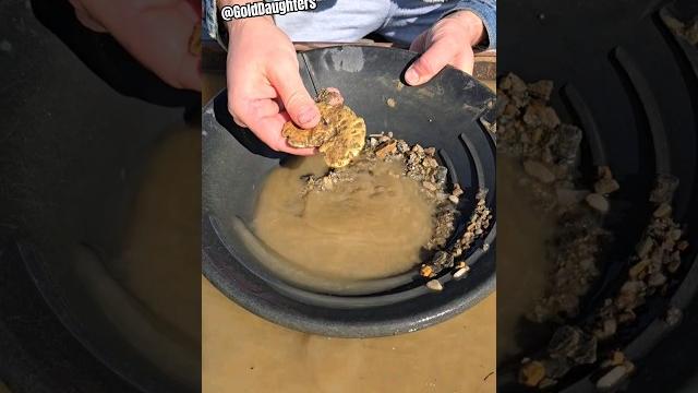 Guy throws away $40,000 gold nugget.. Guy throws away $40,000 gold nugget..