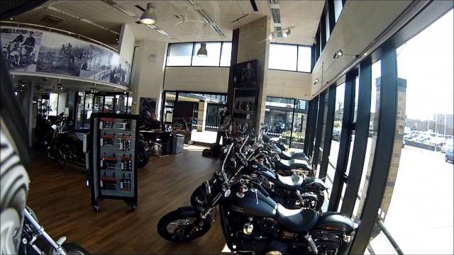 Harley porn lol Harley porn lol