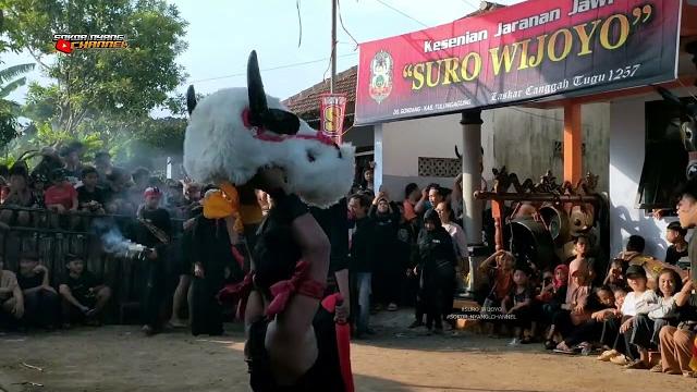 Banteng suro bocil viral 2024 jaranan suro wijoyo live wajak lor boyolangu tulungagung // wjk audio Banteng suro bocil viral 2024 jaranan suro wijoyo live wajak lor boyolangu tulungagung // wjk audio