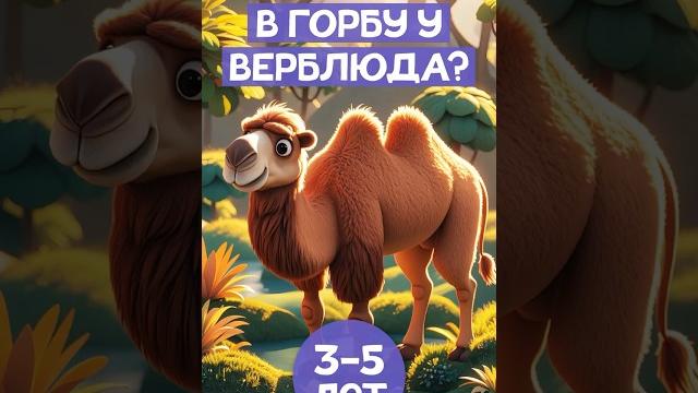 Что в горбу верблюда? #правдаилиложь #сказкинаночь #детямнравится #пустыня #шортсдети #длядетей Что в горбу верблюда? #правдаилиложь #сказкинаночь #детямнравится #пустыня #шортсдети #длядетей