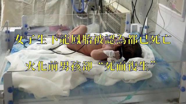 女子生下龍鳳胎被認為都已死亡 火化前男孩卻“死而復生” 女子生下龍鳳胎被認為都已死亡 火化前男孩卻“死而復生”