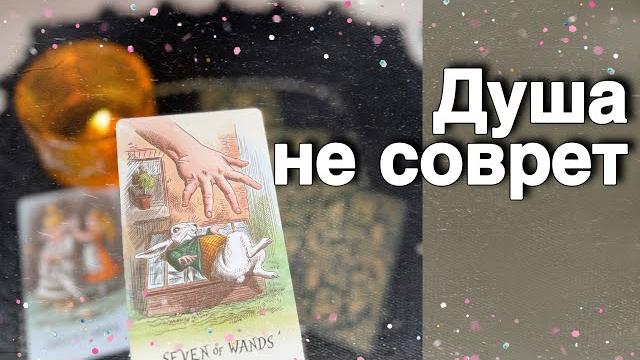 ️нужны ли вы ему... все о его чувствах к вам... ️️ таро расклад ️ онлайн гадание️alice tarot ️нужны ли вы ему... все о его чувствах к вам... ️️ таро расклад ️ онлайн гадание️alice tarot