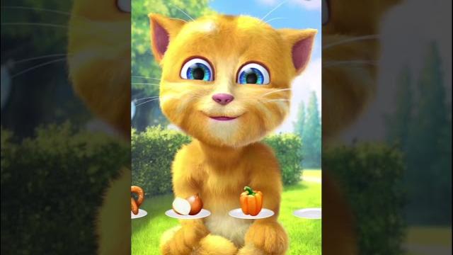 Talking ginger asmr #shorts #talkingginger Talking ginger asmr #shorts #talkingginger