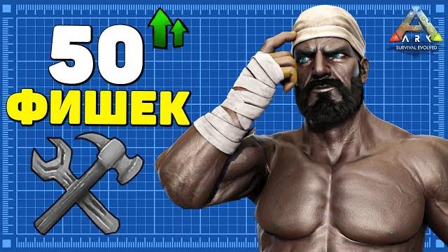 50 реально полезных советов в ark survival evolved 50 реально полезных советов в ark survival evolved