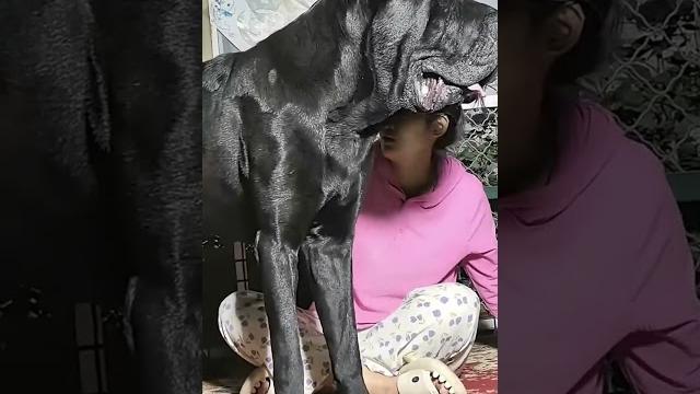 This dog is creating the new generation 535 This dog is creating the new generation 535