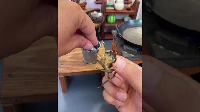 Miniature cooking episode10 Miniature cooking episode10