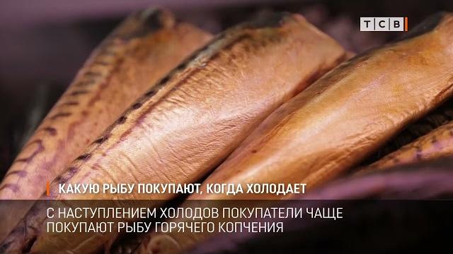 Какую рыбу покупают, когда холодает Какую рыбу покупают, когда холодает