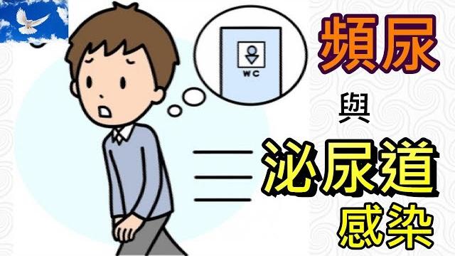 一天要上廁所好多次? 淺談頻尿與泌尿系統的感染 | 三分鐘聊醫學ep9 一天要上廁所好多次? 淺談頻尿與泌尿系統的感染 | 三分鐘聊醫學ep9