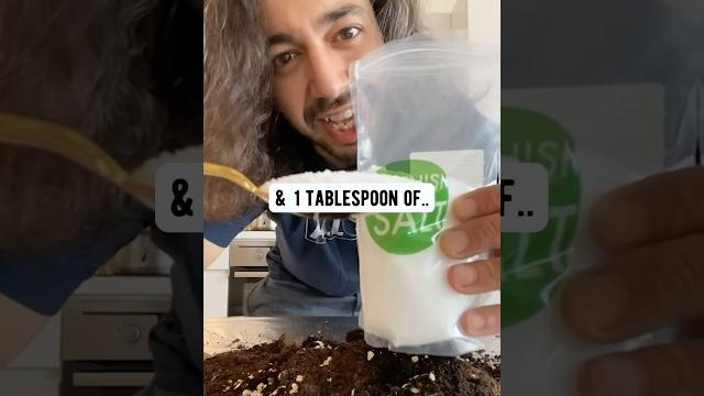 How to fix a dying plant | creative explained How to fix a dying plant | creative explained