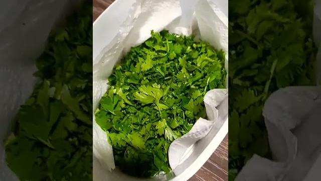 Fresh coriander #youtubeshorts #trending Fresh coriander #youtubeshorts #trending