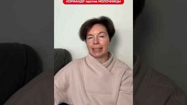 Что будет если. кориандр и молочница Что будет если. кориандр и молочница