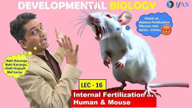 Csir net june 2025 i developmental biology i lecture 16 i internal fertilization human mice i ifas Csir net june 2025 i developmental biology i lecture 16 i internal fertilization human mice i ifas