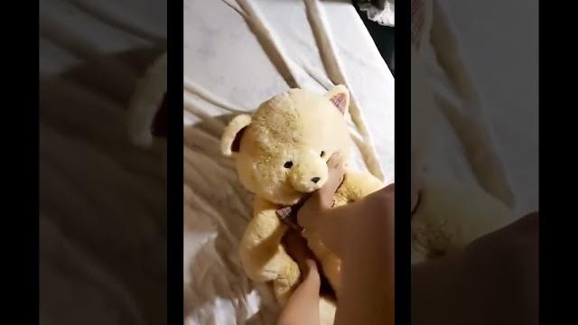Friend teddy bear trample Friend teddy bear trample