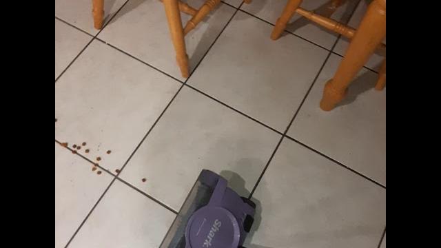 Shark cordless sweeper pick up test Shark cordless sweeper pick up test