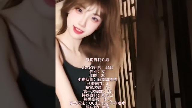純情小母狗 純情小母狗