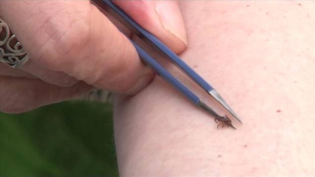 How to properly remove a tick How to properly remove a tick