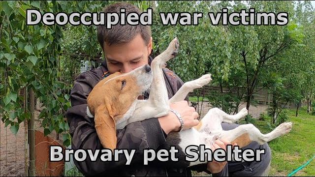 War in ukraine: deoccupied brovary shelter War in ukraine: deoccupied brovary shelter