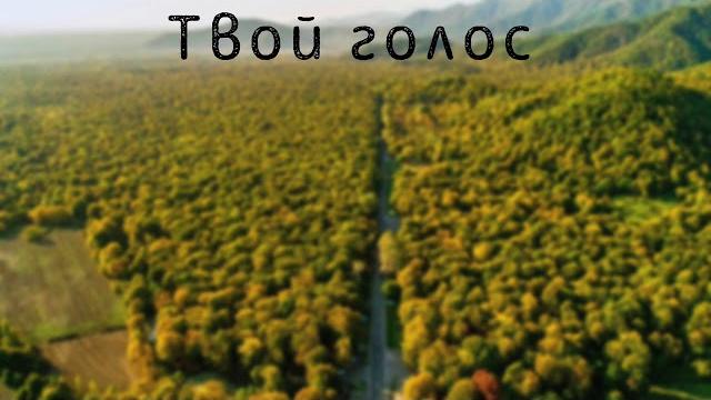 Твой голос i василий перебиковский Твой голос i василий перебиковский