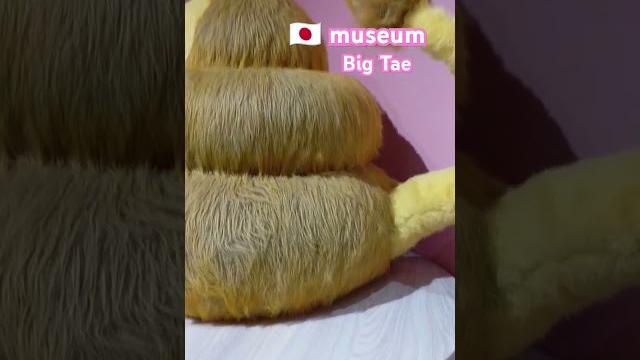 Museum #japan #poop #tae #unko #museum Museum #japan #poop #tae #unko #museum