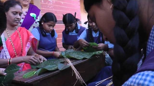How to make a plate of jackfruit leaves How to make a plate of jackfruit leaves