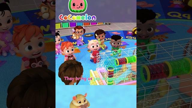 Pet care song #shorts | cocomelon nursery rhymes and kids songs Pet care song #shorts | cocomelon nursery rhymes and kids songs