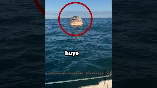 Si ves esto huye Si ves esto huye