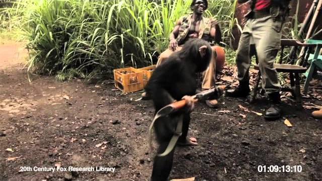 Rise of the planet of the apes | viral video: ape with ak-47 Rise of the planet of the apes | viral video: ape with ak-47