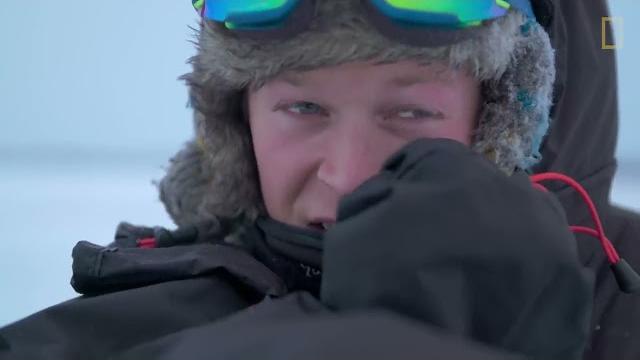 Male polar bear fight club - ep. 2 | wildlife: the big freeze Male polar bear fight club - ep. 2 | wildlife: the big freeze