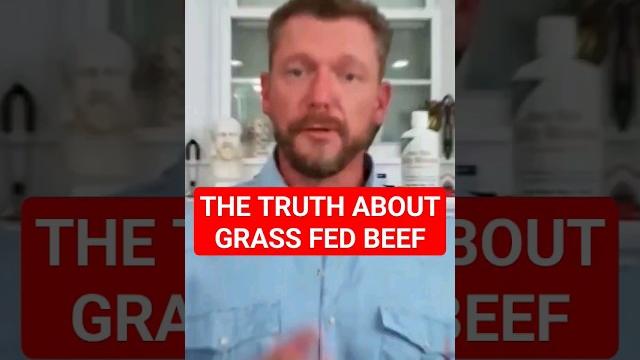 Grain fed vs grass fed beef! which one is better? Grain fed vs grass fed beef! which one is better?