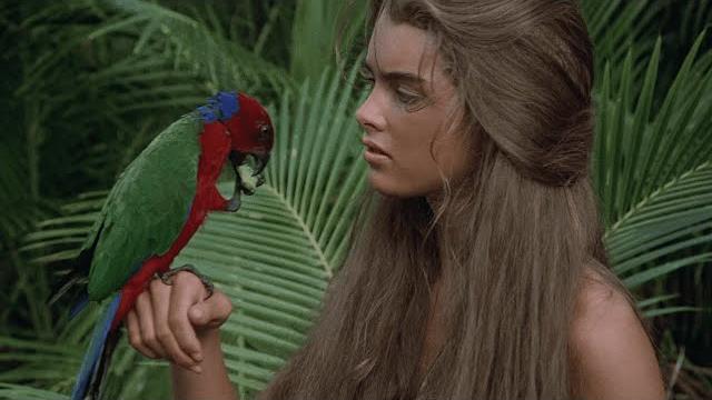 Blue lagoon - brooke shields ( la isla bonita - madonna ) Blue lagoon - brooke shields ( la isla bonita - madonna )