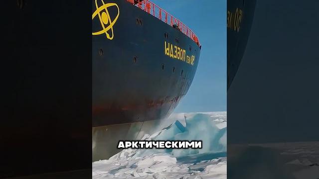 Путин действует, а не просто сидит Путин действует, а не просто сидит