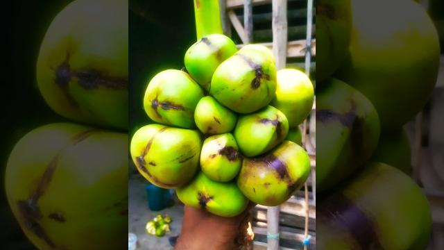 Special ice apple fruit! malaysian palm fruit cutting skills | malaysian favourite street food Special ice apple fruit! malaysian palm fruit cutting skills | malaysian favourite street food