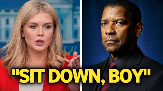 Karoline leavitt insults denzel washington “sit down, boy” — but his response shocks all of america Karoline leavitt insults denzel washington “sit down, boy” — but his response shocks all of america