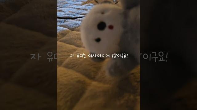 우리 유디를 소개합니다️{헿휘핑님 음원}#구독#떡상#댓막금지#추천 우리 유디를 소개합니다️{헿휘핑님 음원}#구독#떡상#댓막금지#추천