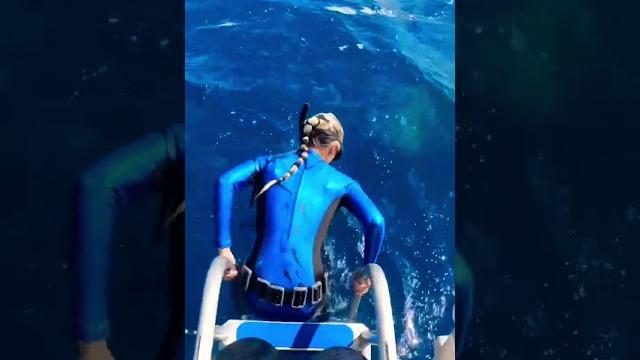Never jump into the ocean or else this will happen! #shorts Never jump into the ocean or else this will happen! #shorts